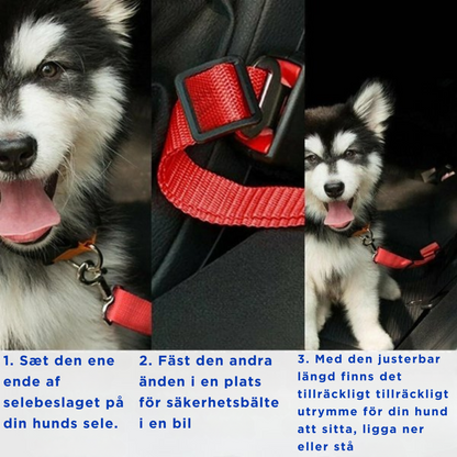 Hund Säkerhetsbälte