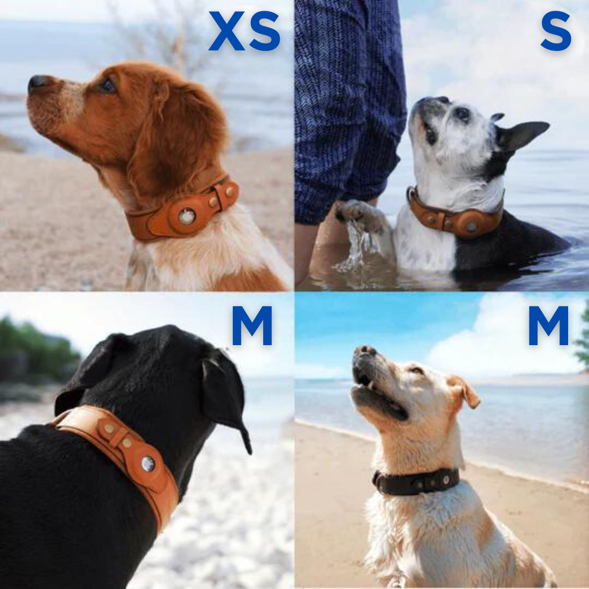 Hundsome™ Läder Airtag Halsband