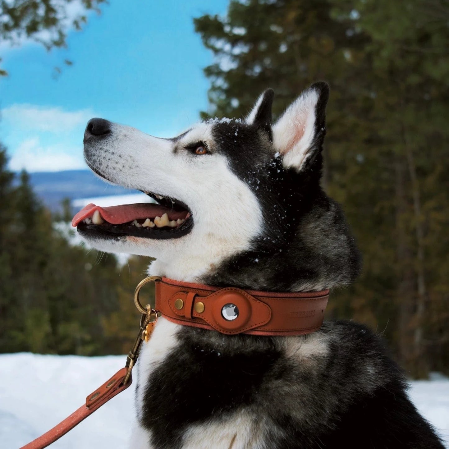 Hundsome™ Läder Airtag Halsband