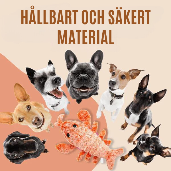 Hundsome Hummer™ Interaktiv Hundleksak