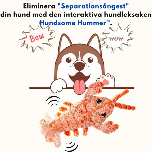 Hundsome Hummer™ Interaktiv Hundleksak