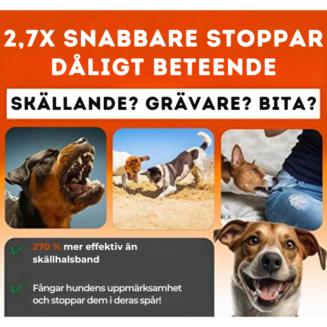 Anti-Skäll Ultraljud Hundtränare