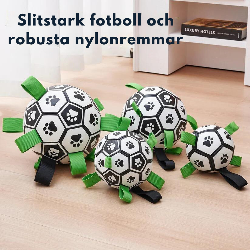 Hundfotboll