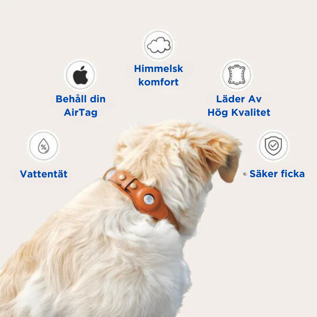 Hundsome™ Läder Airtag Halsband