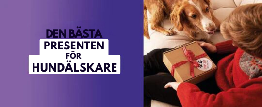 Anti-Skäll Ultraljud Hundtränare